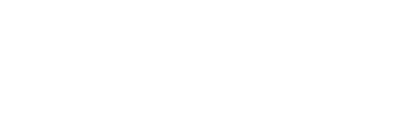 Solgt.com logo - sælg bil uden bøvl