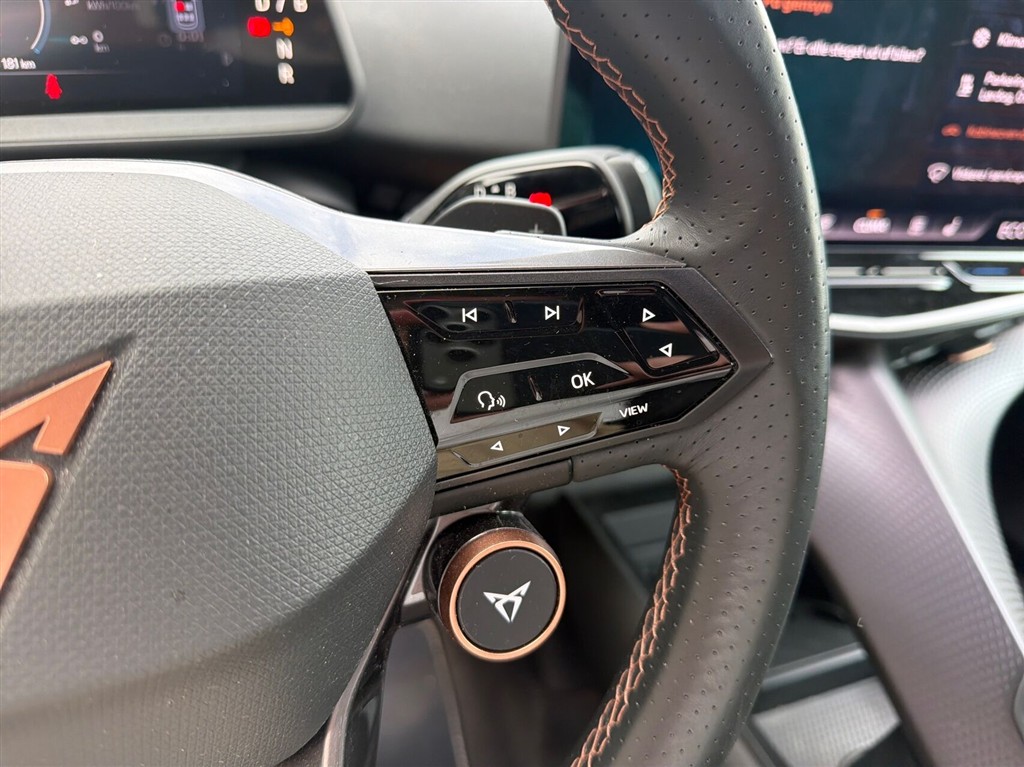 Cupra Tavascan EL Endurance 286HK 5d Aut. - Image 18