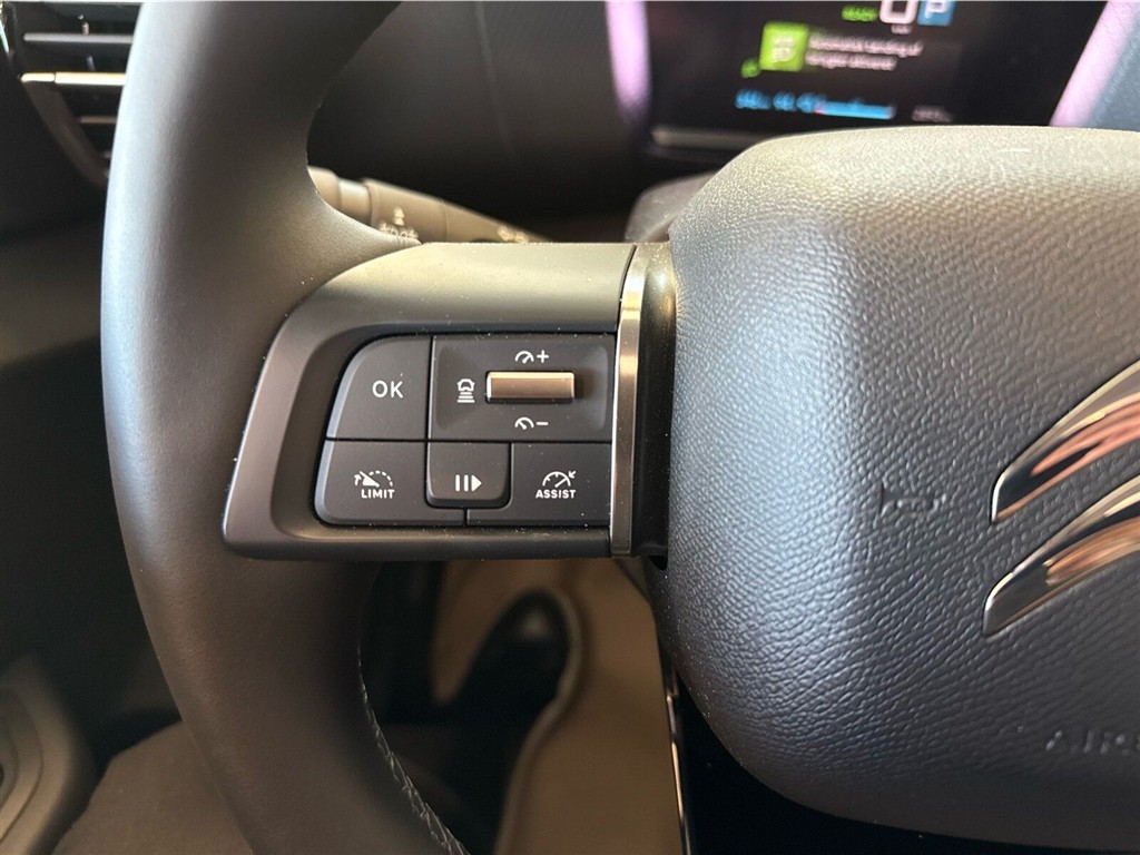 Citroën e-C4 X EL Palais Sky 136HK 5d Aut. - Image 15