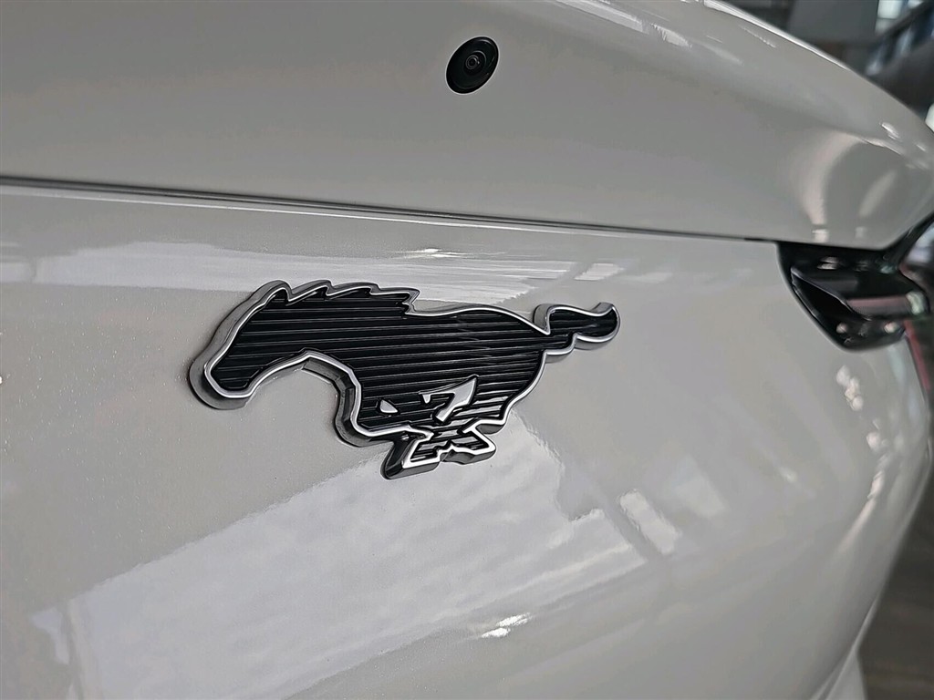 Ford Mustang Mach-E EL SR Select 269HK 5d Aut. - Image 14