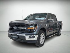 Ford Ford F-150 5.0L V8 406HK