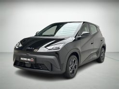 BYD Dolphin Surf EL Boost 88HK Aut.