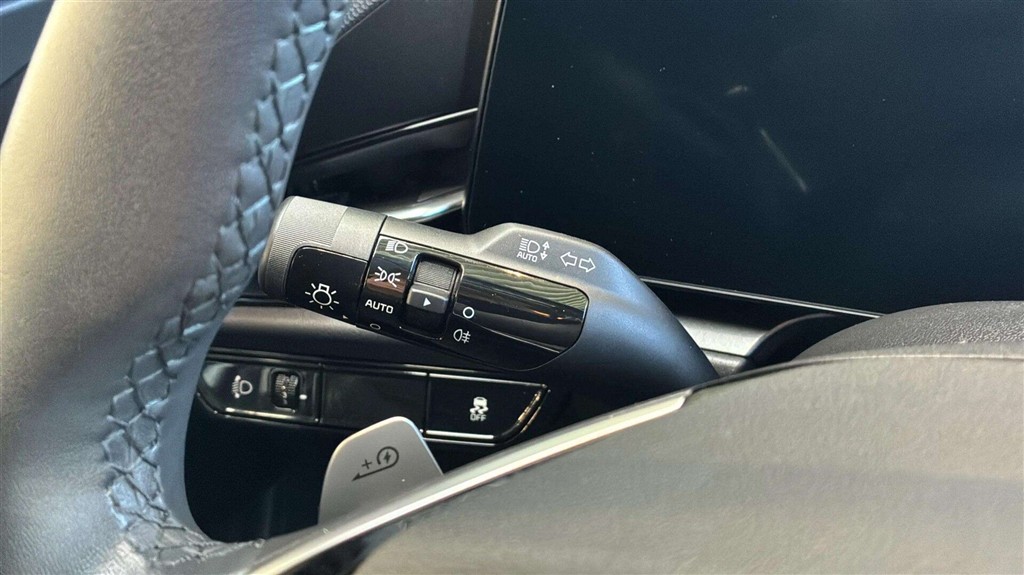 Kia e-Niro EL 204HK 5d Aut. - Image 14