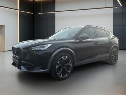 Cupra Formentor 2,0 TSI VZ 4X4 DSG 310HK 5d 7g Aut.