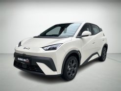 BYD Dolphin Surf EL Boost 88HK Aut.